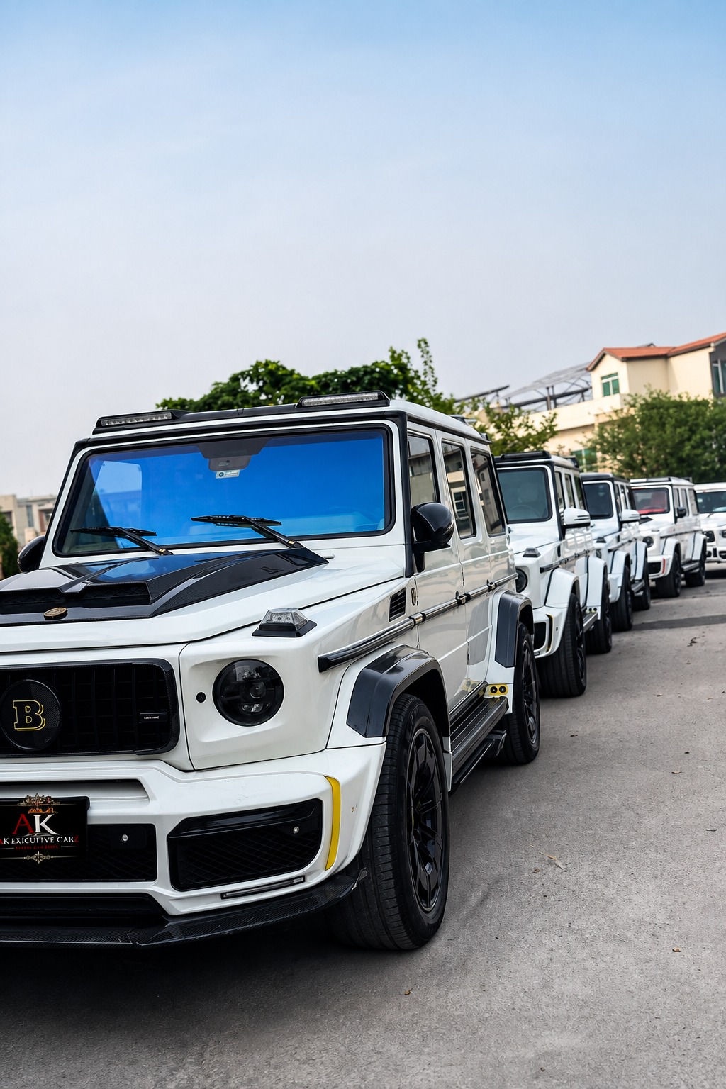 Executive sedans ready for travel